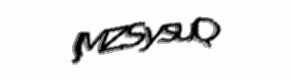 Security check image, please type the characters shown