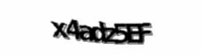 Security check image, please type the characters shown